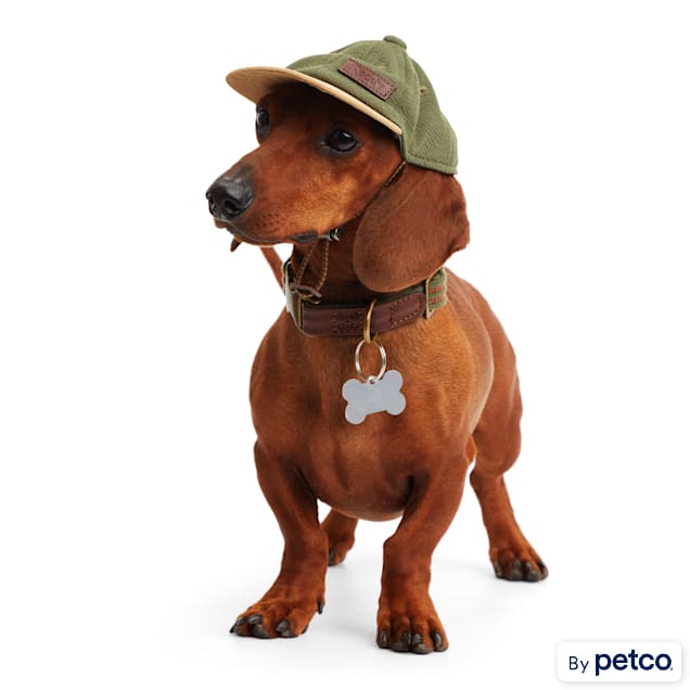Dachshund hats for dogs cheap