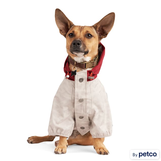 Reddy sales dog windbreaker