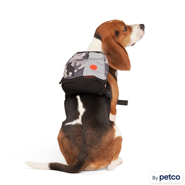 Reddy dog backpack deals