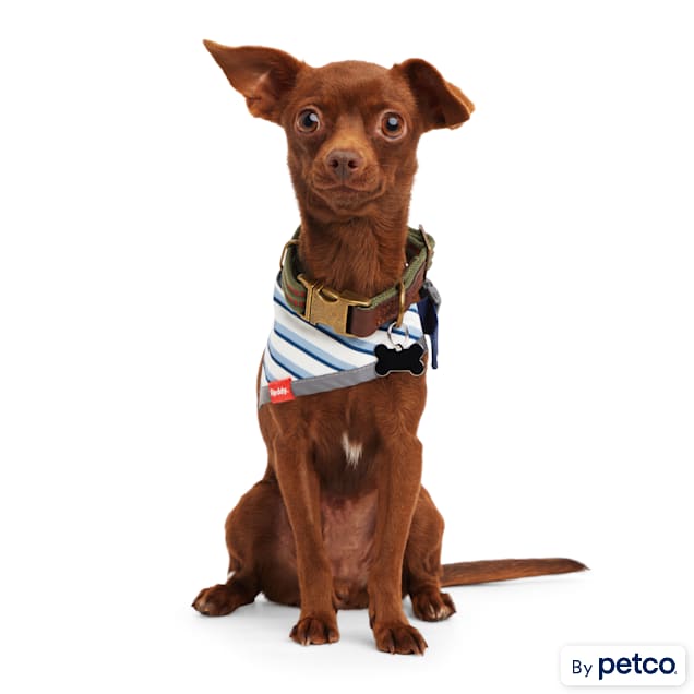 Adopt me bandana petco cheap