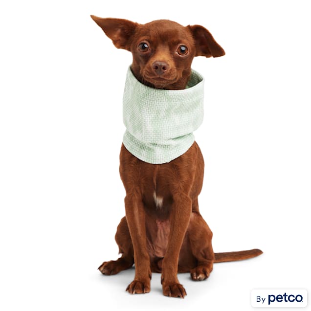 Neck gaiter discount for dogs