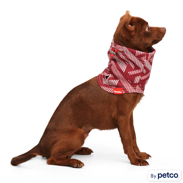 Dog 2025 neck gaiter