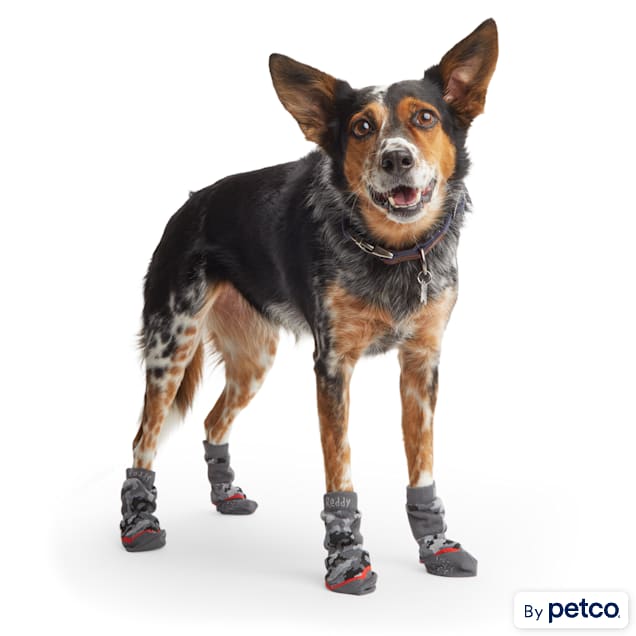 Reddy Black Grip Dog Socks Small Petco