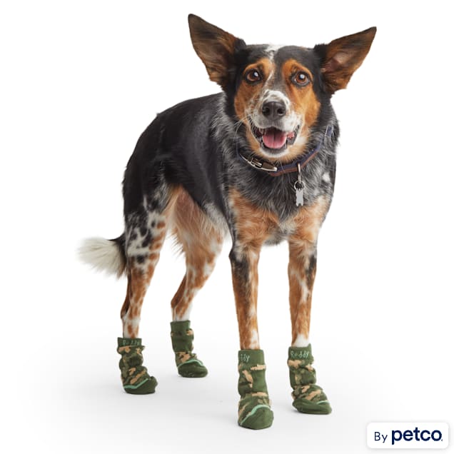 Sport Pawks- Dog Socks — Dog.Dog.Cat.