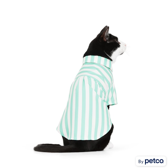 Petco cat clothes store