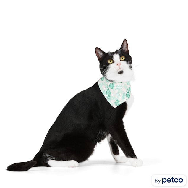 YOULY Relax Reversible Bandana for Cats X Small Petco