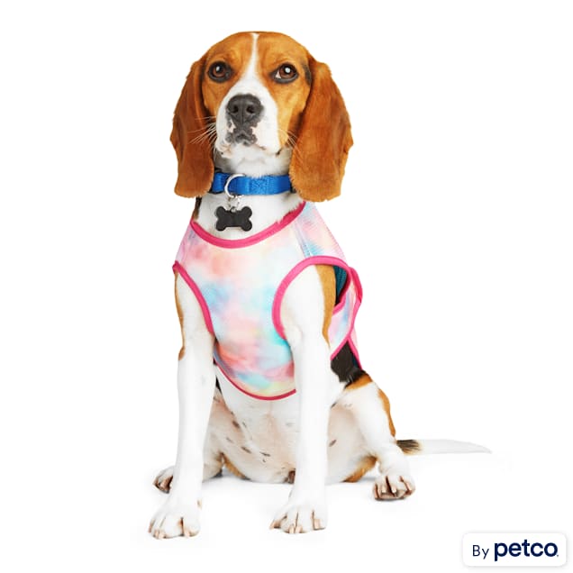 Therapy dog new arrivals vest petco