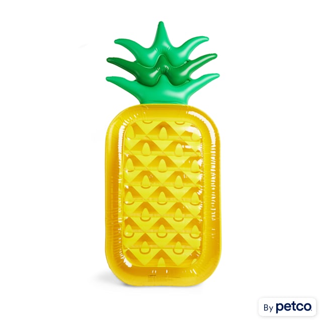 Pet Poop Bag (Pineapple)