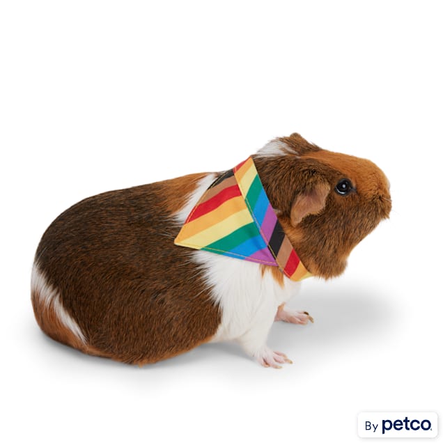 YOULY Pride Bandana for Small Animal, Small/Medium - Carousel image #1