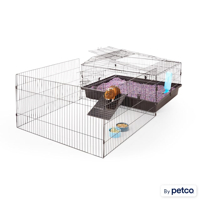 EveryYay Guinea Pig Habitat With Play Yard Petco