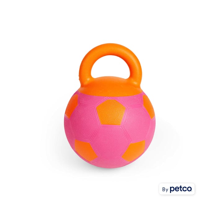 Dog toy ball with handle sale