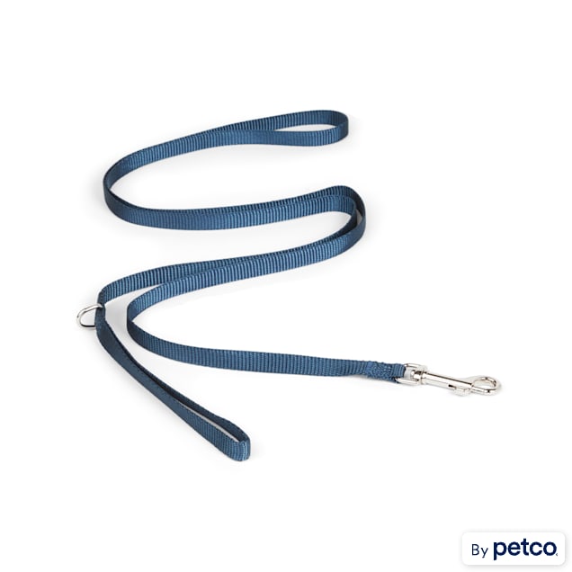 Nylon leash for dogs petco sale