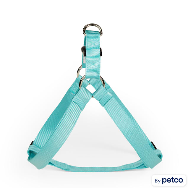 Turquoise dog harness on sale