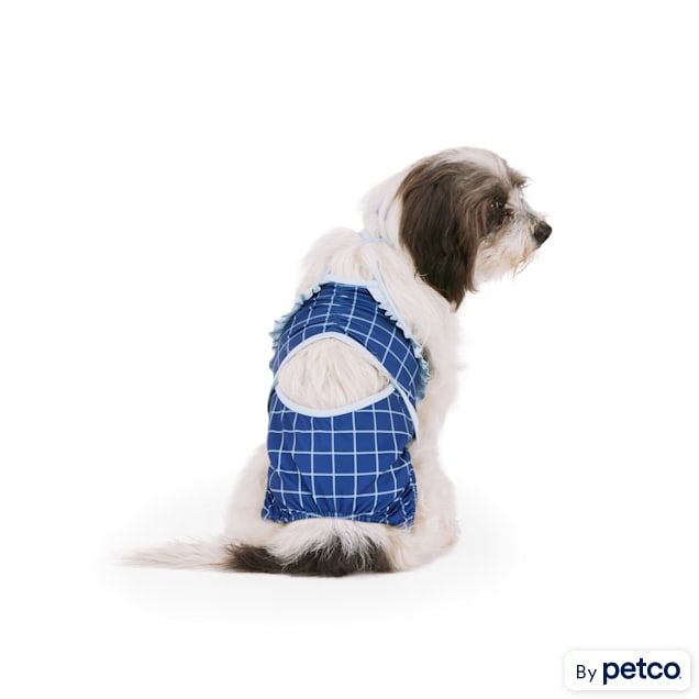 Swimsuit for small dogs 2025