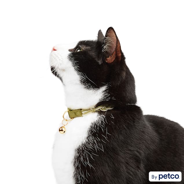 Petco flea collar cat on sale