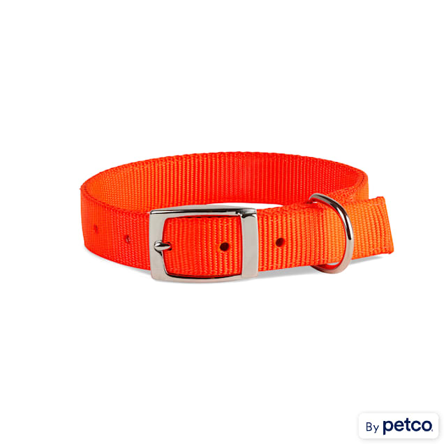Bright red dog store collar