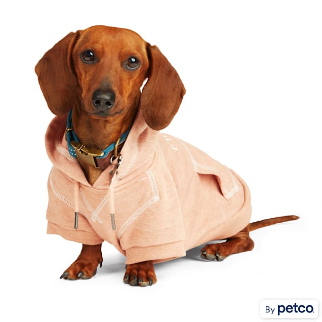 Petco dog hoodies new arrivals