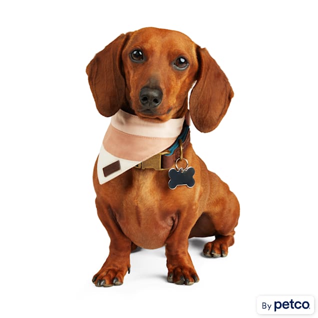 Petco dog bandana cheap
