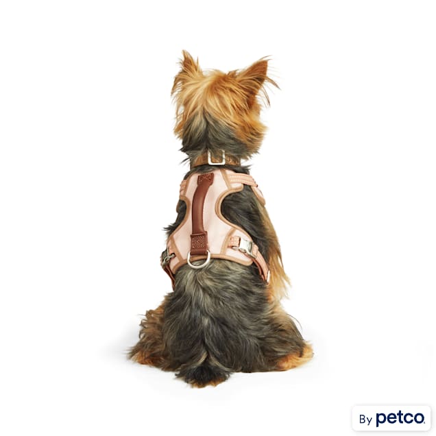 Purebox dog harness hotsell