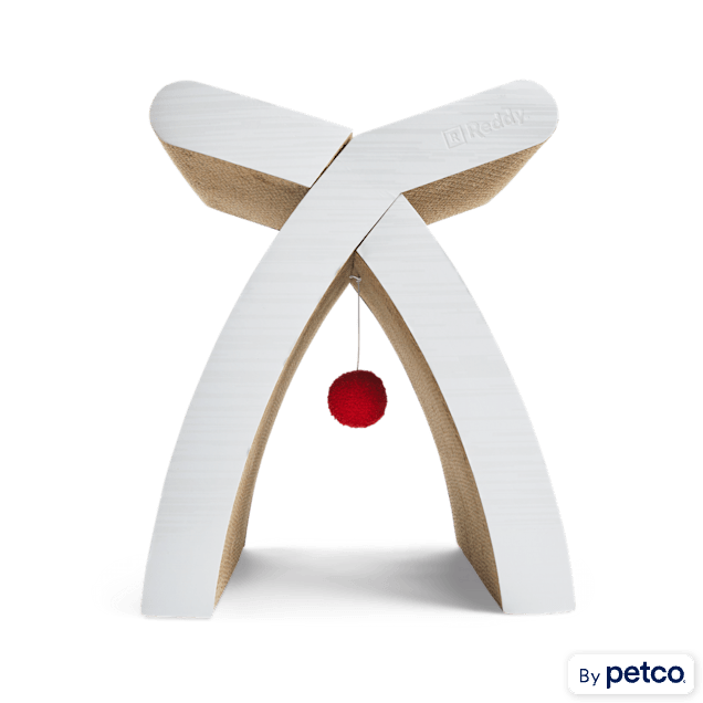 Reddy Cat Scratcher & Toy, Small - Carousel image #1