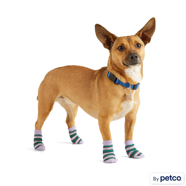 YOULY Pink Green Mix Match Dog Socks XS S from Petco