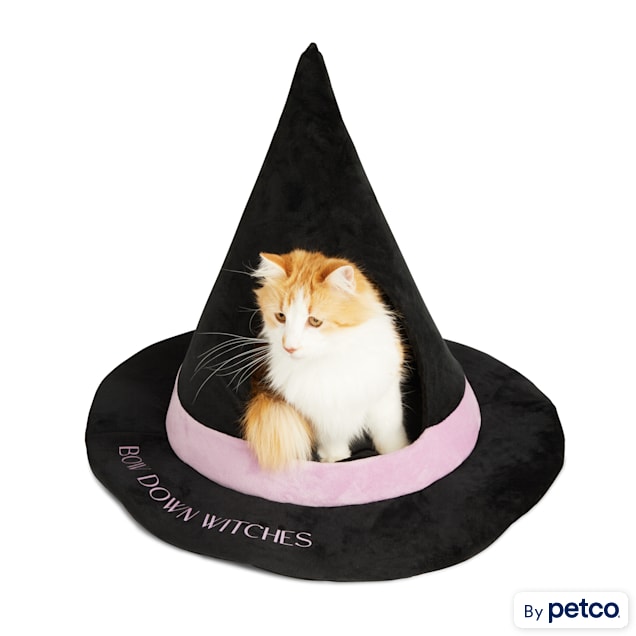 Bootique Witches Hat Pet Bed Small Petco
