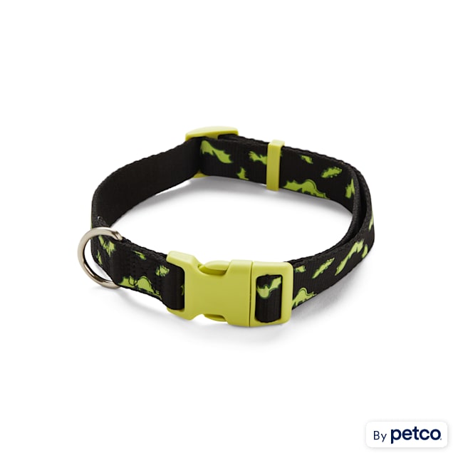Light up dog collar petco shop