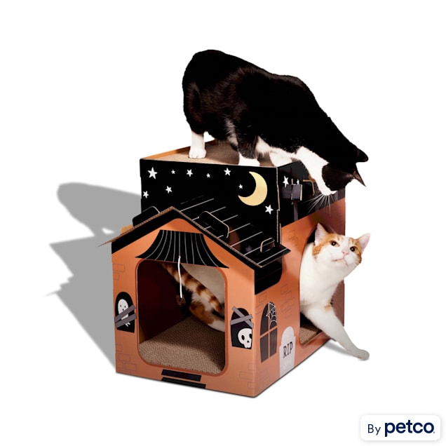 Petco cardboard cat scratcher hot sale