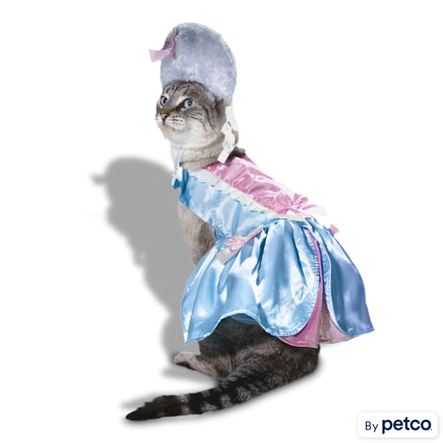 Fancy dress for cats shop