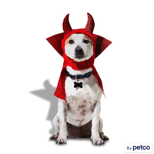 Dog in devil costume outlet