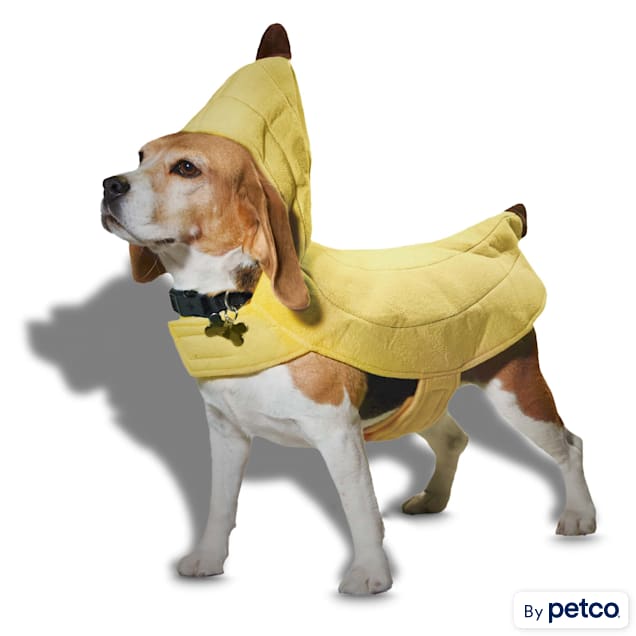 Petco clothes 2025