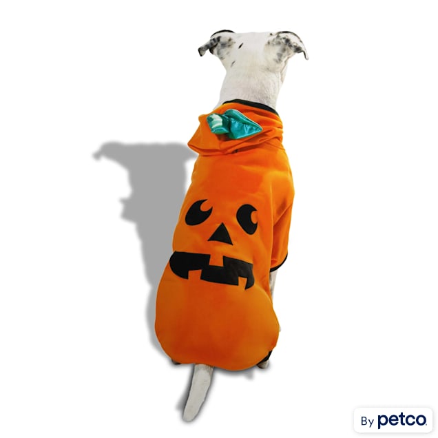 Bootique Pumpkin Pet Hoodie for Dogs Cats XX Small
