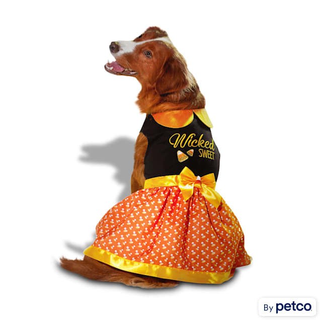 Petco outfits online