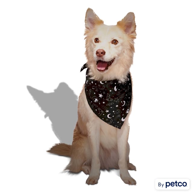 Petco bandana outlet