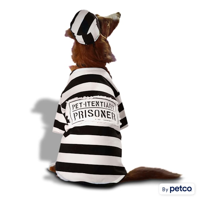 Dog prisoner cheap costume xxl