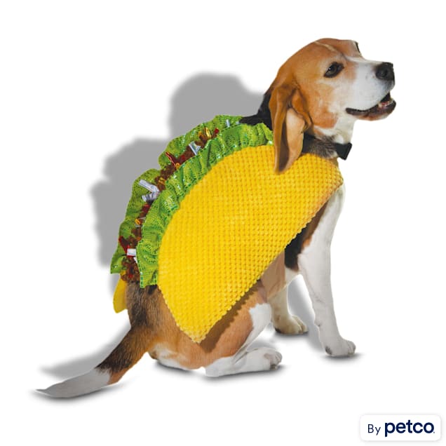 Dog dressed as taco discount