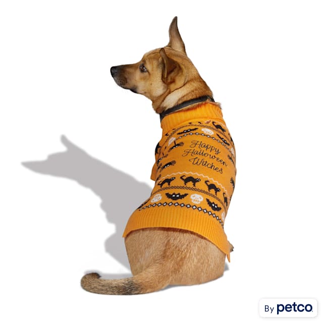 Petco clothes for small dogs 2025