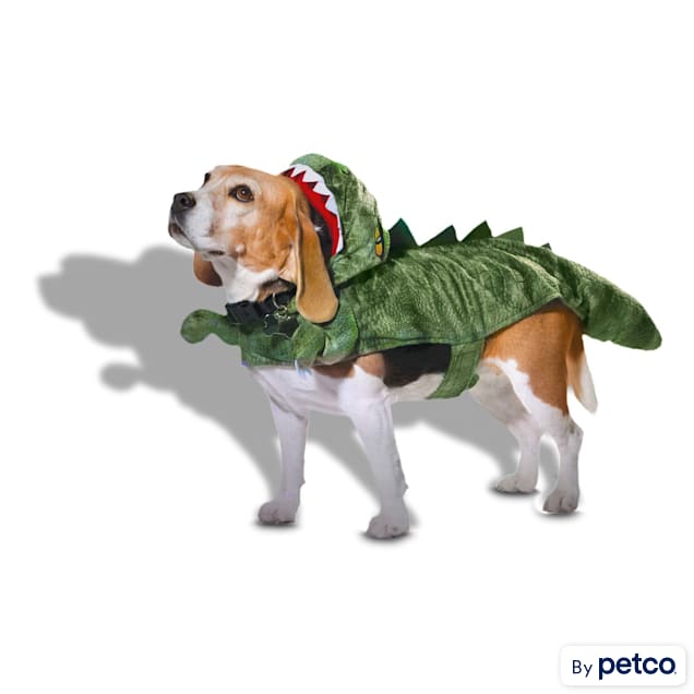 Large dog dinosaur costume shop