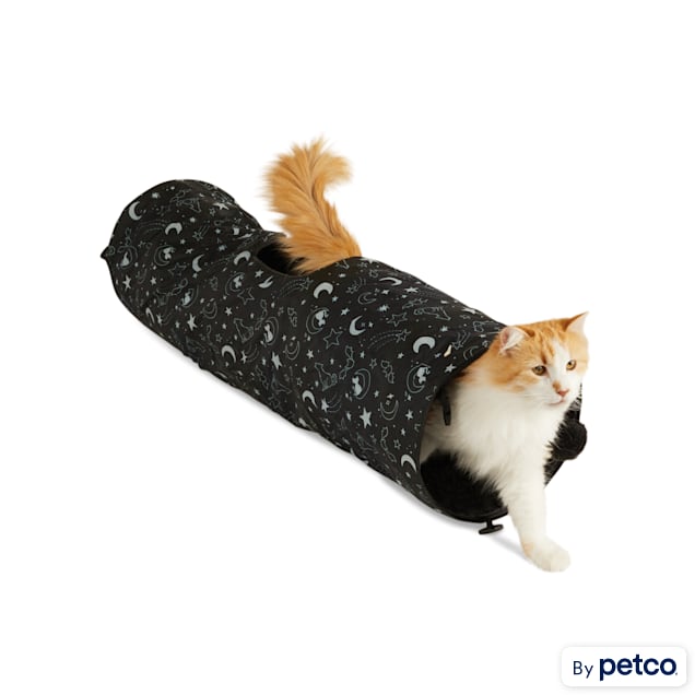 Petco cat tunnel discount