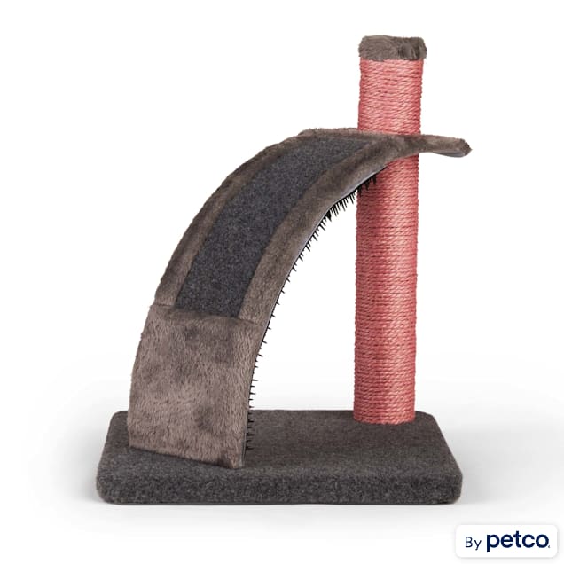 Petco cat scratcher best sale