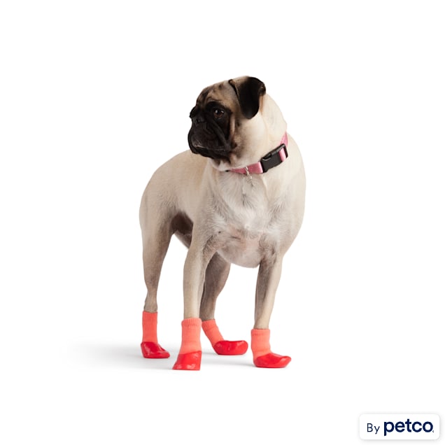 YOULY Pink Dip Colorblock Socks for Dogs, XSmall Petco