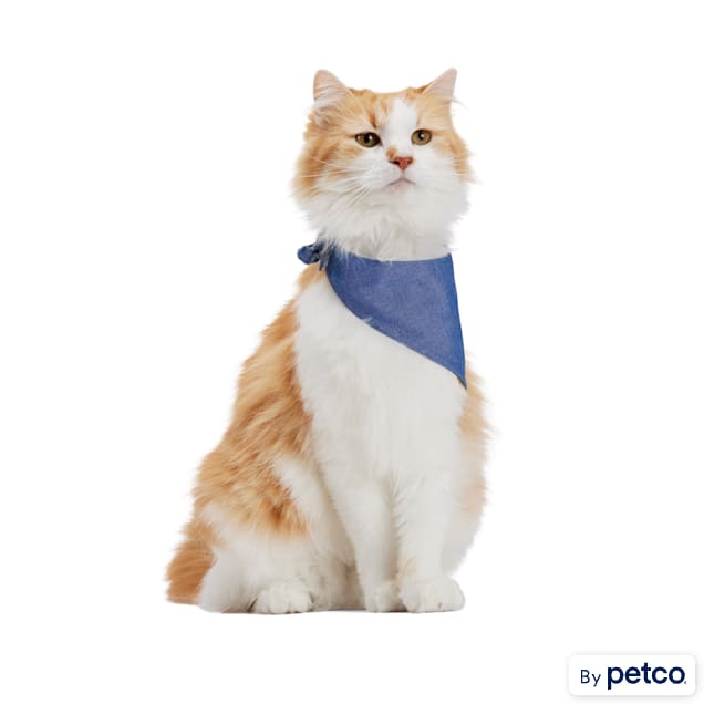 Adopt me discount bandana petco