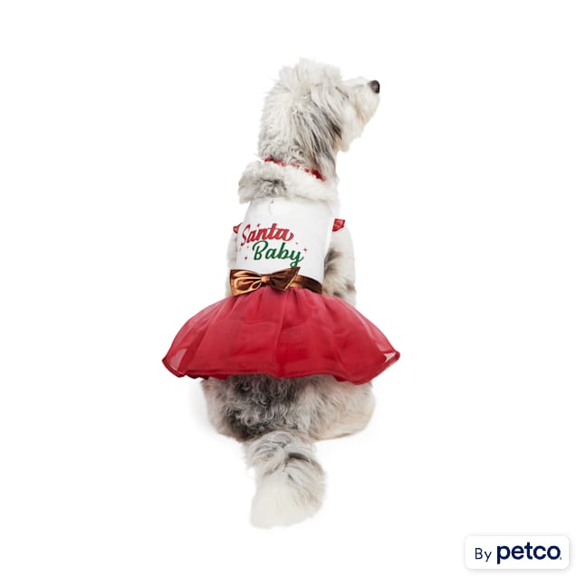 Santa claus outfit deals for dogs