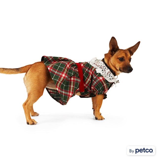 Tartan shop dog dress