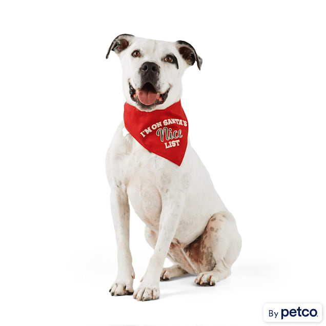 Naughty and nice dog bandanas clearance