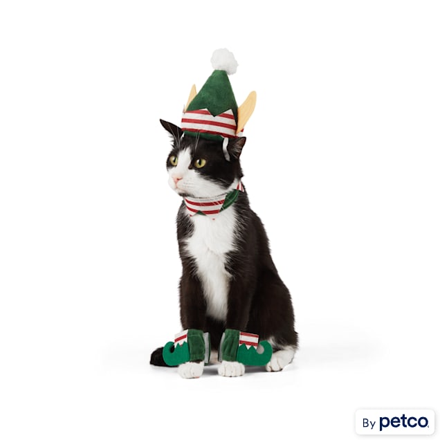Kitten elf costume store