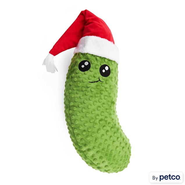 Christmas pickle on sale dog toy