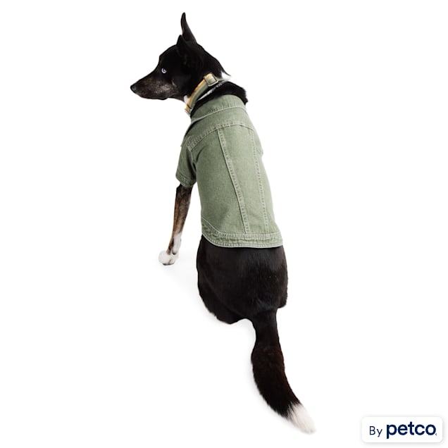 Reddy Denim Jacket for Dogs, XLarge, Sage Petco