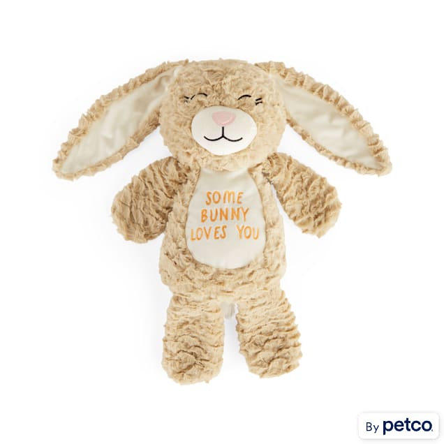 YOULY Easter Bunny Flattie Dog Toy, Large Petco