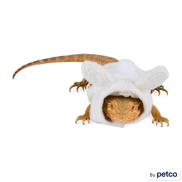 YOULY Easter Bearded Dragons Bunny Hoodie - Carousel image #1